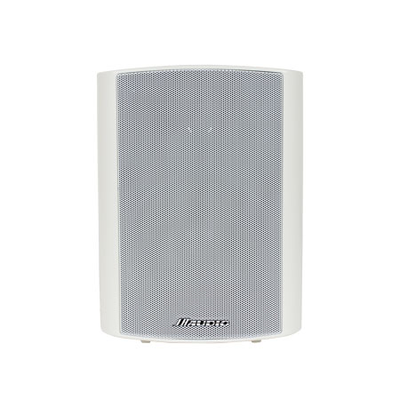 IntraSonic JA-T5W-1 Indoor Outdoor Cube Speaker